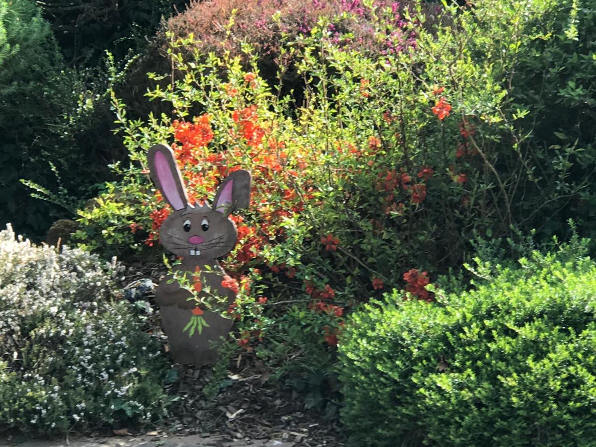Bien Etre Et Detente Chez Cote Campagne Et Jardin Ohnenheim Exterior photo